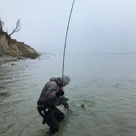 Semesterbostad Treibholz