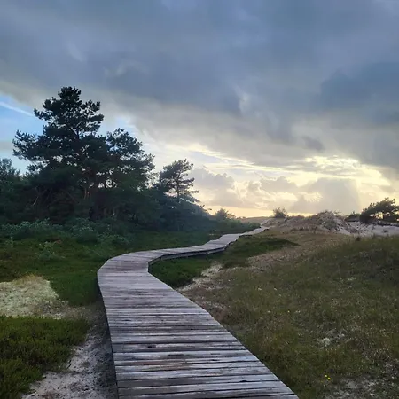 Treibholz Semesterbostad