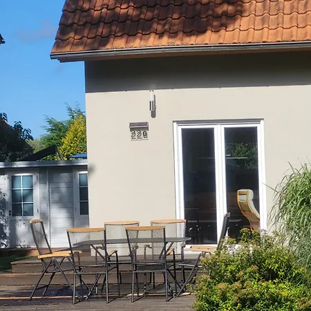 Treibholz * Prerow