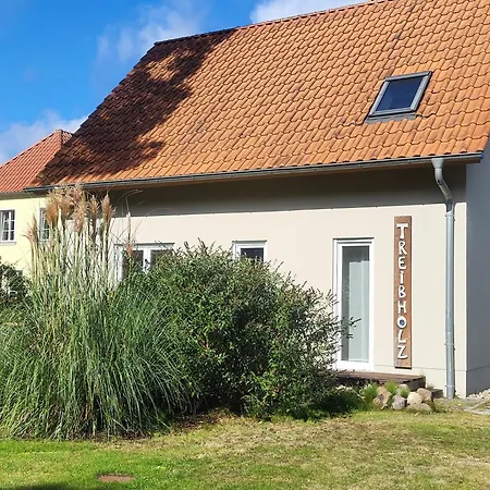 Treibholz Semesterbostad Prerow