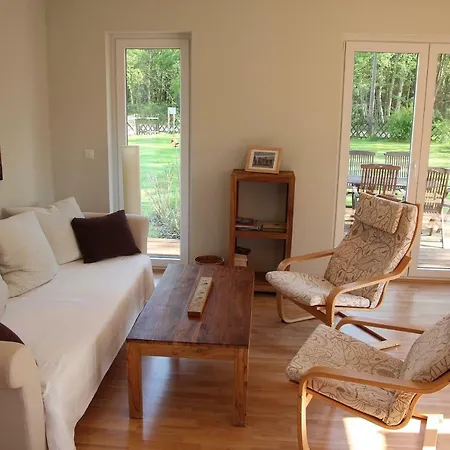 Treibholz Semesterbostad Prerow